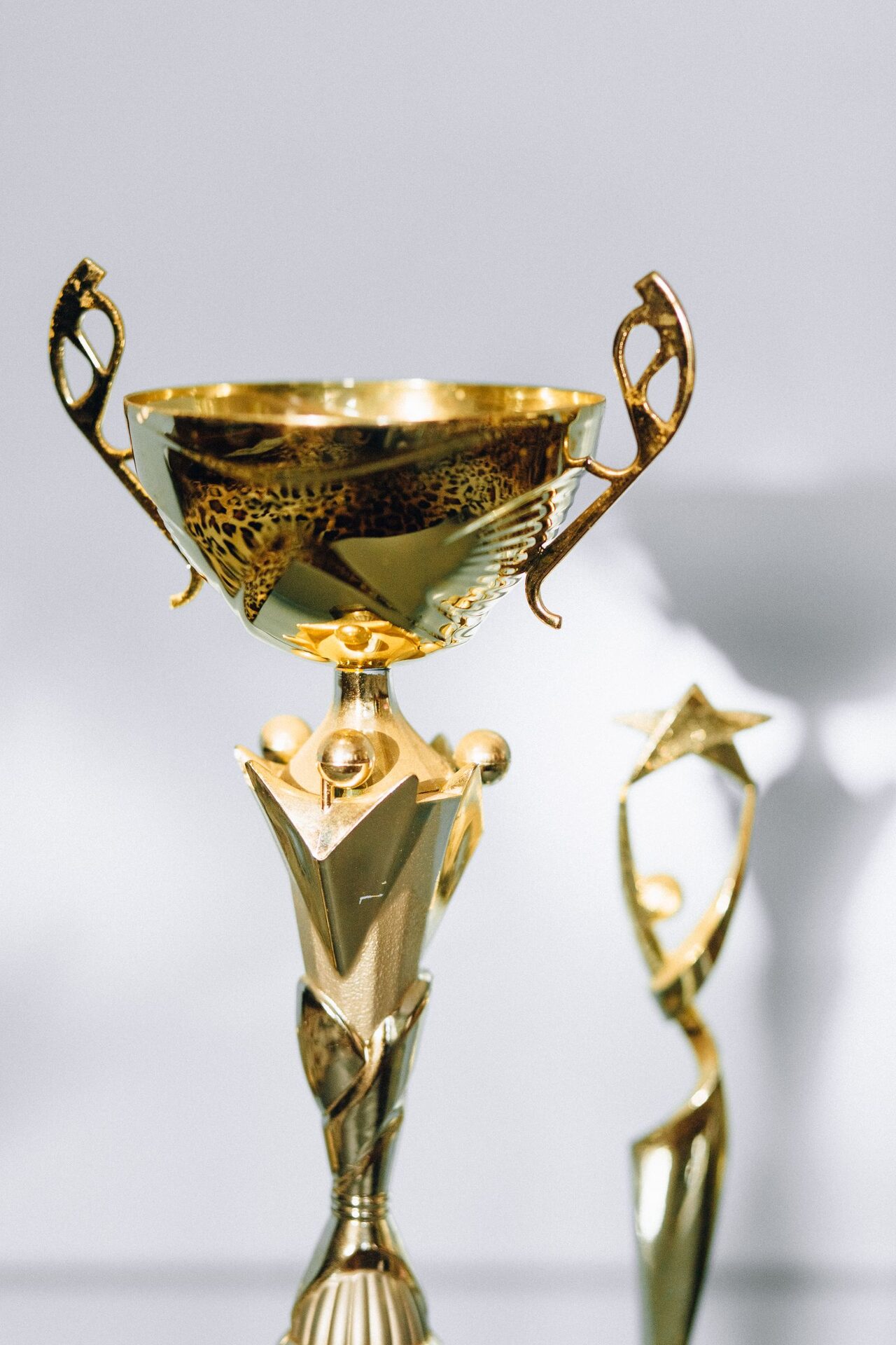 Detail zlaté trofeje ze sbírky klubu